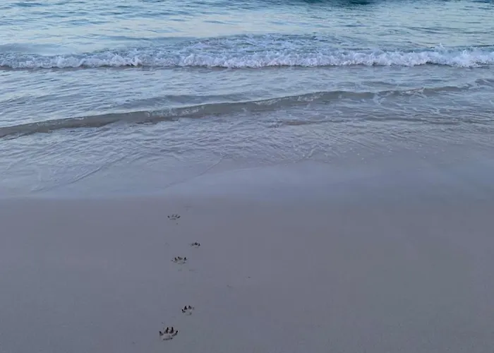 ヴィラ Rafael プンタ・プリマ